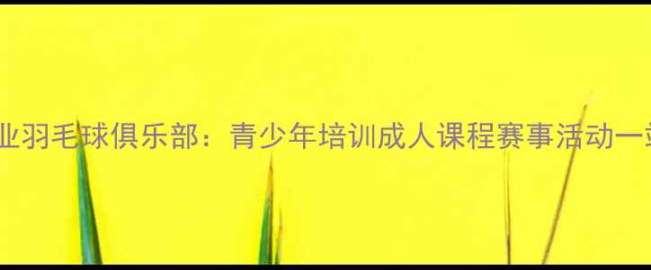 图片 南京江宁区专业羽毛球俱乐部：青少年培训成人课程赛事活动一站式服务平台1