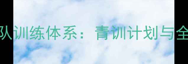 图片 南京羽毛球省队训练体系：青训计划与全国赛事成绩全