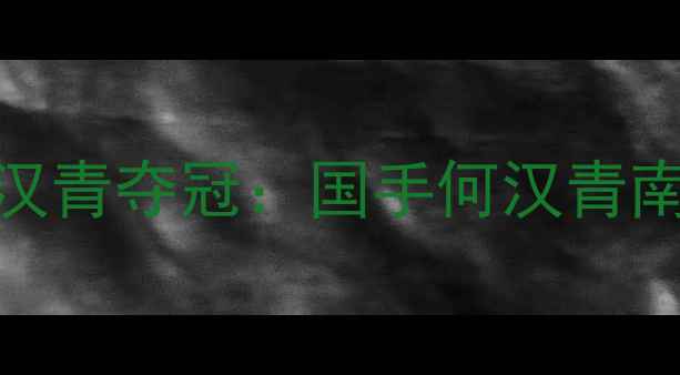 图片 南昌羽毛球公开赛何汉青夺冠：国手何汉青南昌赛创历史最佳战绩