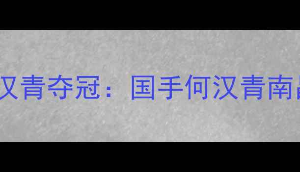 图片 南昌羽毛球公开赛何汉青夺冠：国手何汉青南昌赛创历史最佳战绩2