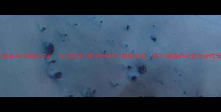 图片 南通新星乒乓球培训中心：专业教学+青少年培养+赛事资源，助力南通乒乓爱好者成长指南1