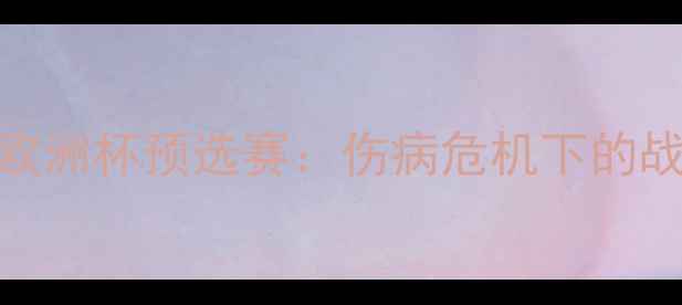 图片 博格坎普宣布退出欧洲杯预选赛：伤病危机下的战术调整与未来展望