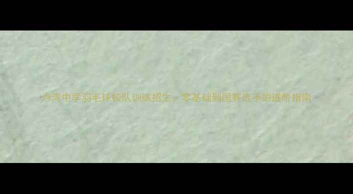 图片 卢湾中学羽毛球校队训练招生：零基础到国赛选手的进阶指南