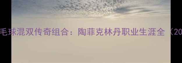 图片 印尼羽毛球混双传奇组合：陶菲克林丹职业生涯全（2000-）1