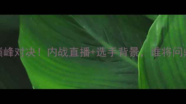 图片 印度vs中国WBO巅峰对决！内战直播+选手背景，谁将问鼎拳王金腰带？2