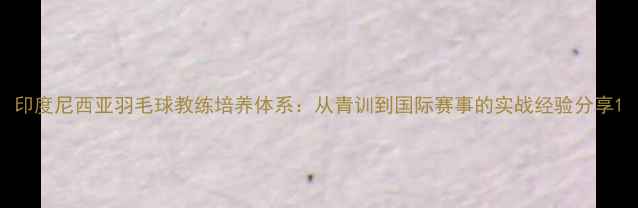 图片 印度尼西亚羽毛球教练培养体系：从青训到国际赛事的实战经验分享1