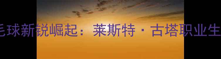 图片 印度羽毛球新锐崛起：莱斯特·古塔职业生涯全景1