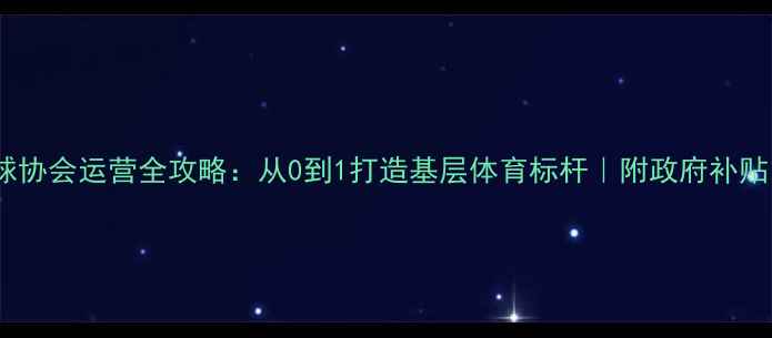 图片 县级羽毛球协会运营全攻略：从0到1打造基层体育标杆｜附政府补贴申请指南1