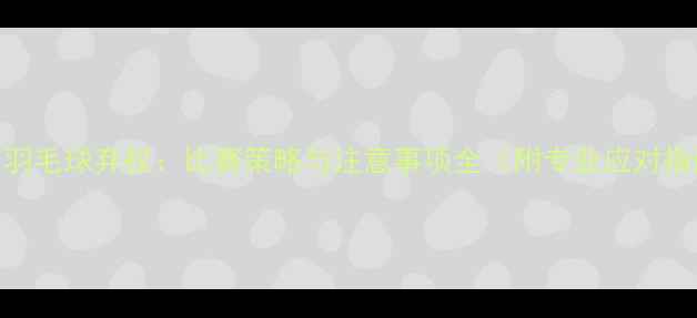 图片 双打羽毛球弃权：比赛策略与注意事项全（附专业应对指南）
