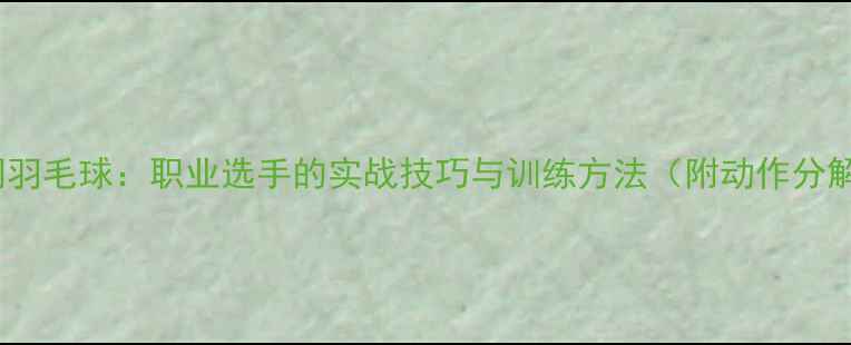 图片 反手上网羽毛球：职业选手的实战技巧与训练方法（附动作分解图解）2