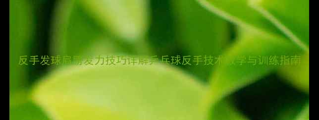 图片 反手发球肩膀发力技巧详解乒乓球反手技术教学与训练指南