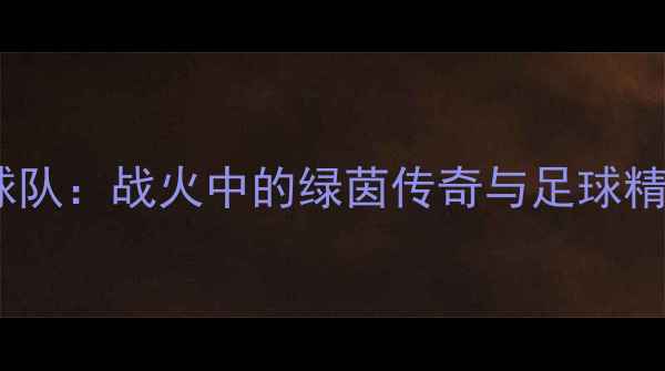 图片 叙利亚国家足球队：战火中的绿茵传奇与足球精神的涅槃重生2