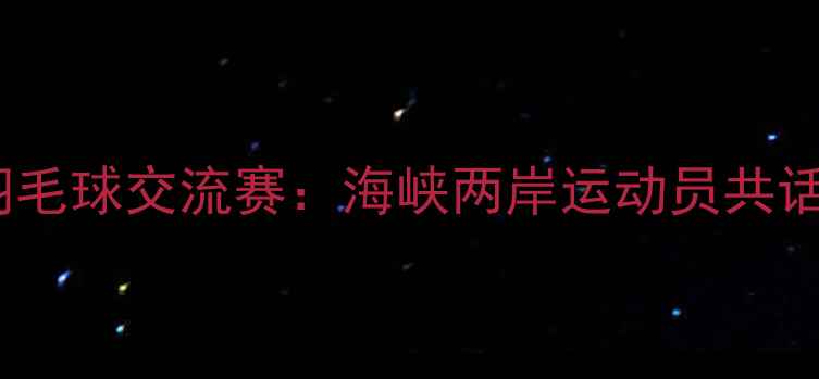 图片 台北印尼羽毛球交流赛：海峡两岸运动员共话羽球未来2