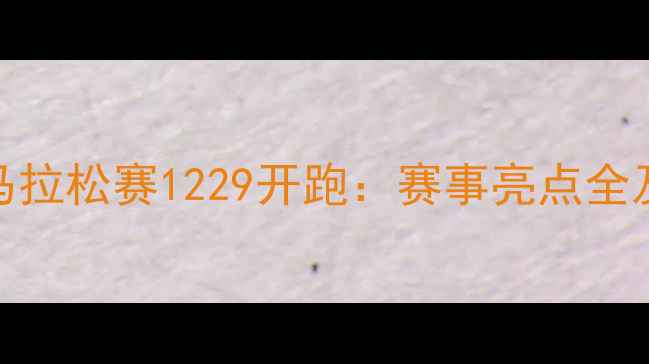 图片 台北国际马拉松赛1229开跑：赛事亮点全及参赛攻略