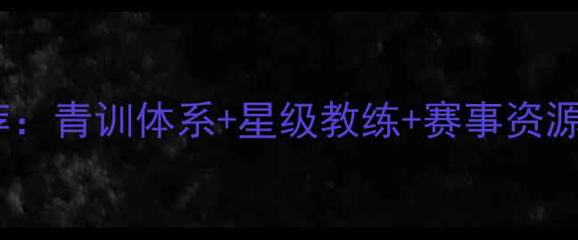 图片 台湾专业羽毛球学校推荐：青训体系+星级教练+赛事资源，如何3年培养省队苗子