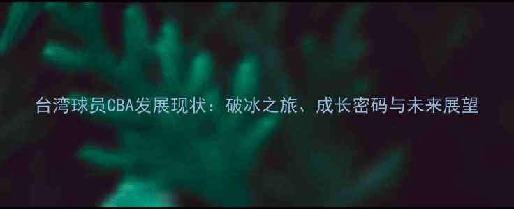 图片 台湾球员CBA发展现状：破冰之旅、成长密码与未来展望