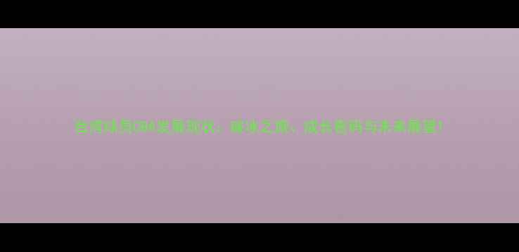 图片 台湾球员CBA发展现状：破冰之旅、成长密码与未来展望1