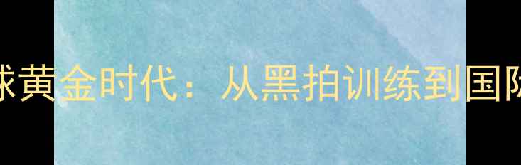 图片 台湾羽毛球黄金时代：从黑拍训练到国际赛场崛起