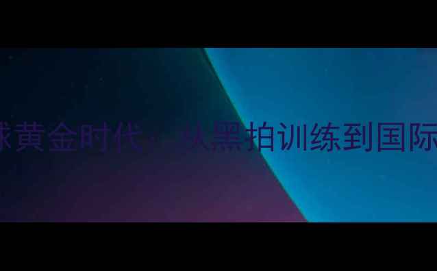 图片 台湾羽毛球黄金时代：从黑拍训练到国际赛场崛起1