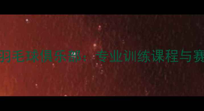 图片 合肥波尔羽毛球俱乐部：专业训练课程与赛事平台全