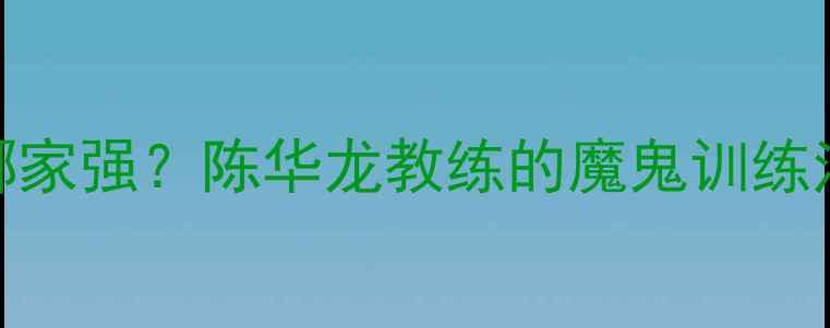 图片 合肥羽毛球培训哪家强？陈华龙教练的魔鬼训练法与学员成长故事