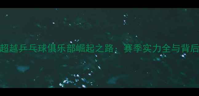 图片 哈尔滨超越乒乓球俱乐部崛起之路：赛季实力全与背后的故事