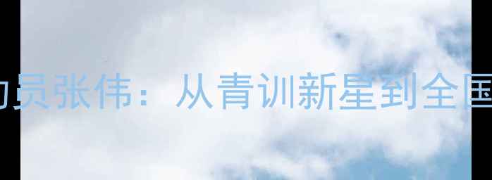 图片 嘉禾区羽毛球运动员张伟：从青训新星到全国冠军的成长密码1