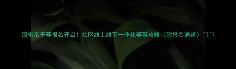 图片 围棋亲子赛报名开启！社区线上线下一体化赛事攻略（附报名通道）🎉🏮