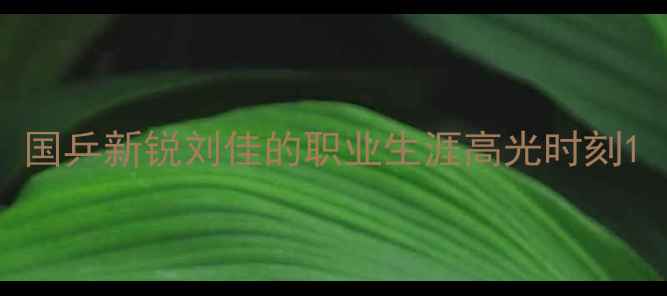 图片 国乒新锐刘佳的职业生涯高光时刻1