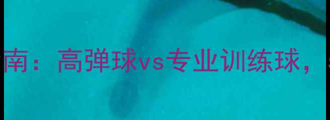 图片 国内羽毛球品牌选购指南：高弹球vs专业训练球，5大热门品牌深度测评1