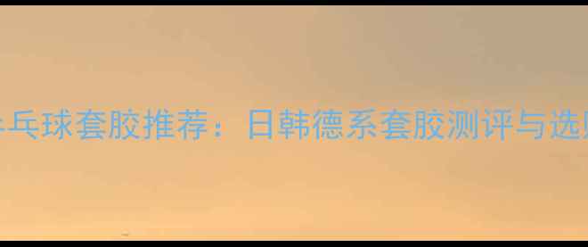 图片 国外乒乓球套胶推荐：日韩德系套胶测评与选购指南