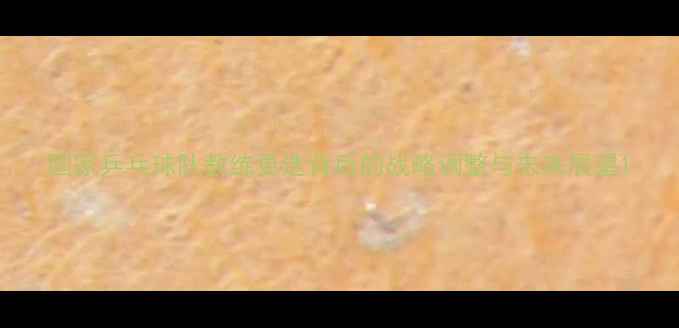 图片 国家乒乓球队教练更迭背后的战略调整与未来展望1