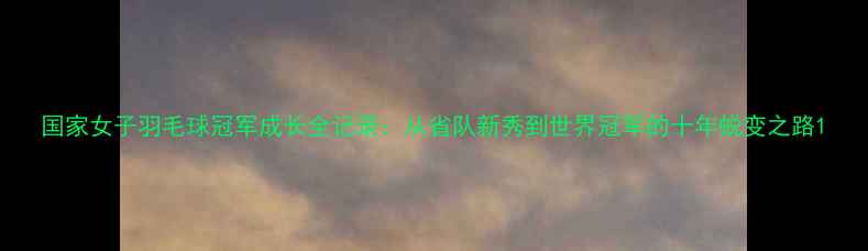图片 国家女子羽毛球冠军成长全记录：从省队新秀到世界冠军的十年蜕变之路1