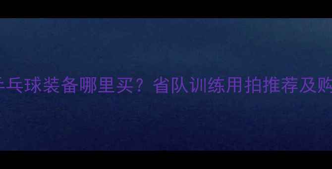 图片 国家队乒乓球装备哪里买？省队训练用拍推荐及购买指南1