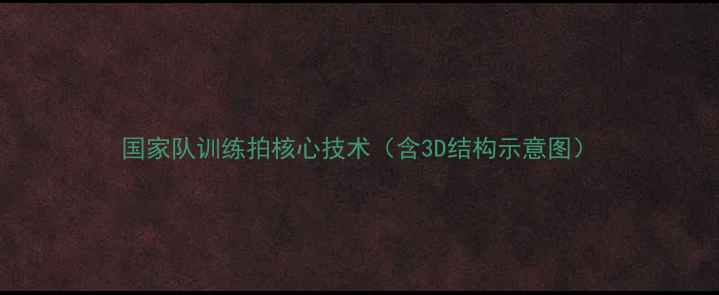 图片 国家队训练拍核心技术（含3D结构示意图）