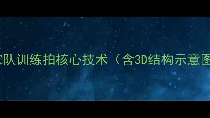 图片 国家队训练拍核心技术（含3D结构示意图）1