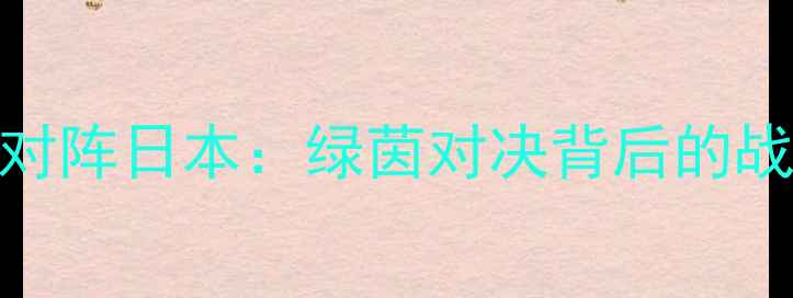 图片 国足22强对阵日本：绿茵对决背后的战略与期待