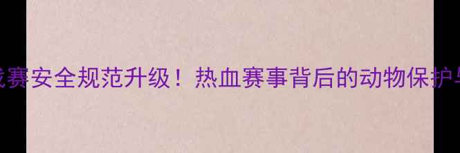 图片 国际斗牛挑战赛安全规范升级！热血赛事背后的动物保护与运动精神全