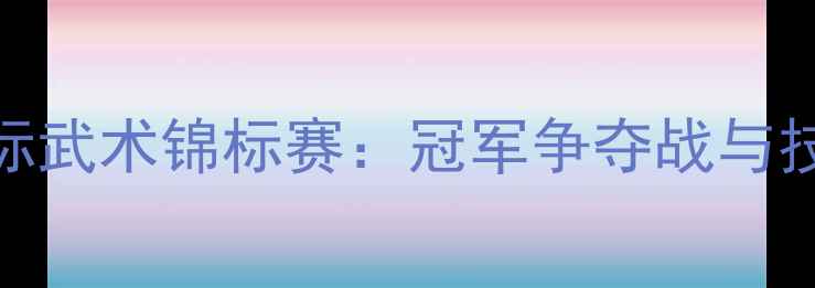 图片 国际武术锦标赛：冠军争夺战与技术
