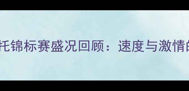 图片 国际水上摩托锦标赛盛况回顾：速度与激情的巅峰对决2
