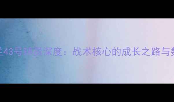 图片 国际米兰43号球员深度：战术核心的成长之路与数据表现