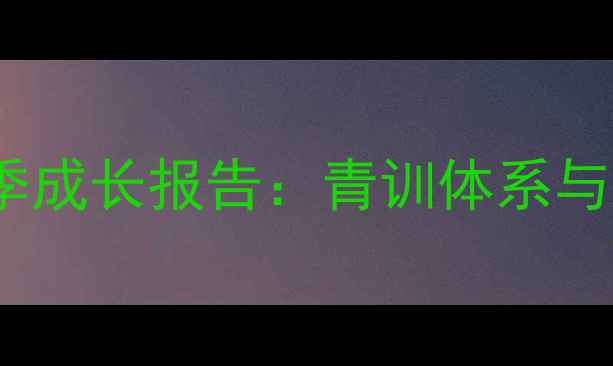 图片 国际米兰外租球员赛季成长报告：青训体系与战术实验的双重价值1