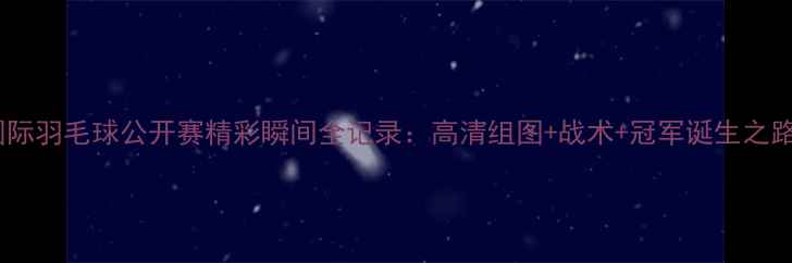 图片 国际羽毛球公开赛精彩瞬间全记录：高清组图+战术+冠军诞生之路1