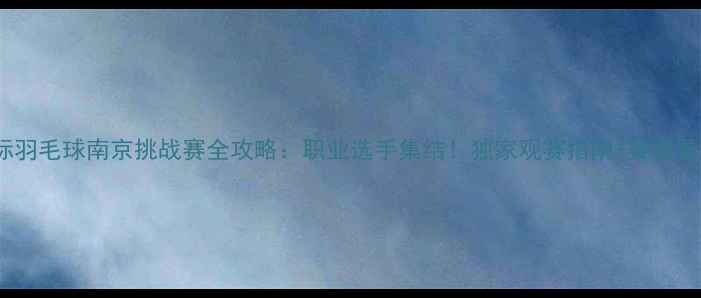 图片 国际羽毛球南京挑战赛全攻略：职业选手集结！独家观赛指南+赛事看点1