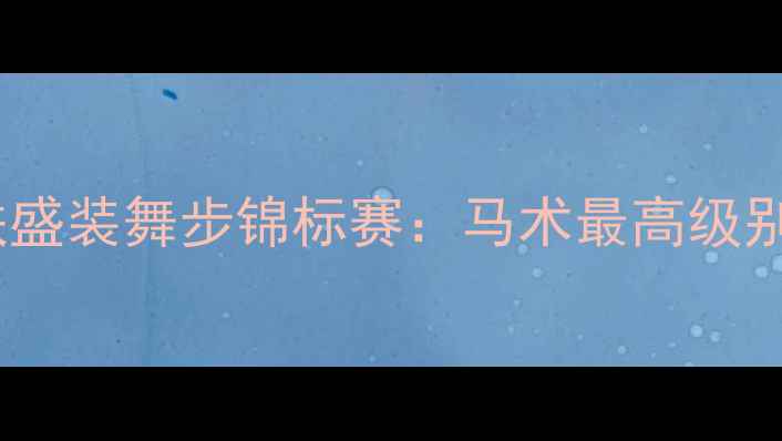图片 国际马联盛装舞步锦标赛：马术最高级别赛事全2