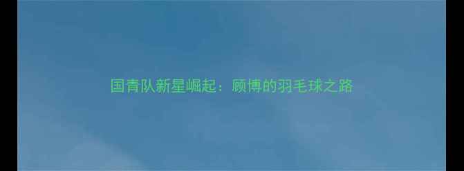 图片 国青队新星崛起：顾博的羽毛球之路