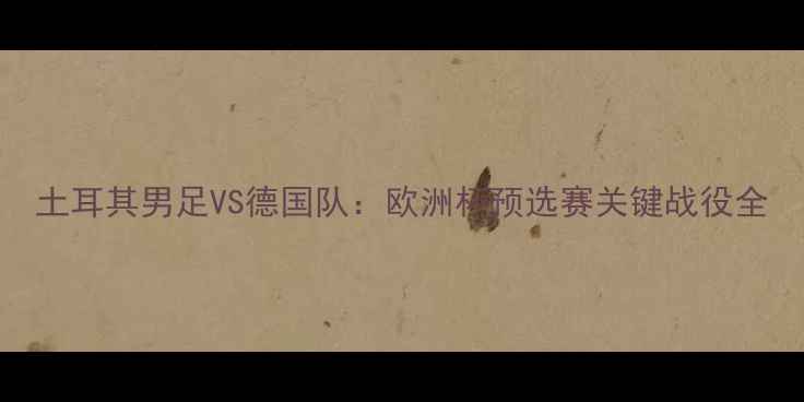 图片 土耳其男足VS德国队：欧洲杯预选赛关键战役全