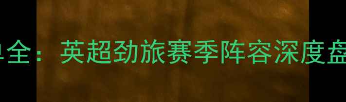 图片 埃弗顿球员名单全：英超劲旅赛季阵容深度盘点与关键数据2