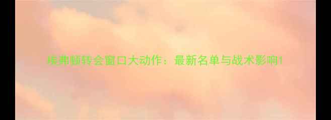 图片 埃弗顿转会窗口大动作：最新名单与战术影响1