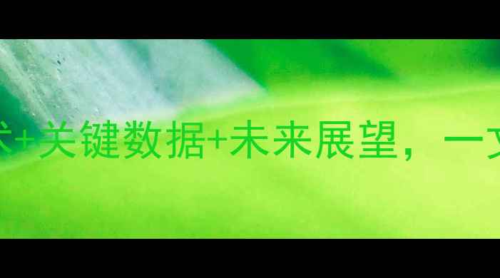 图片 塞尔维亚vs立陶宛高清战报：战术+关键数据+未来展望，一文读懂这场欧洲杯预选赛经典对决